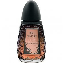  عود ابسولوت